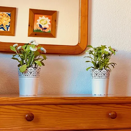 Apartamento Flat With Terrace In Puerto Rico *